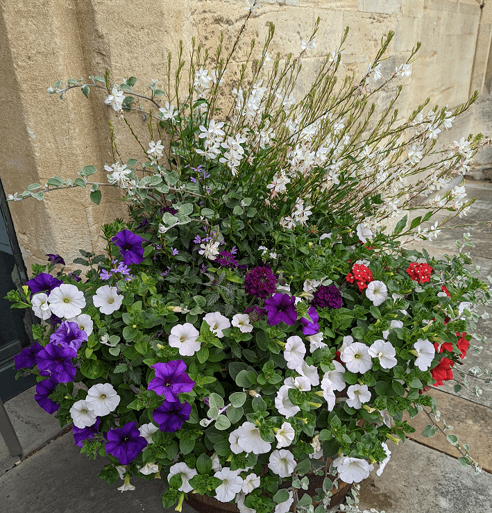 Malmesbury in Bloom 2022 - Calling all young Malmesbury artists and gardeners of any age!